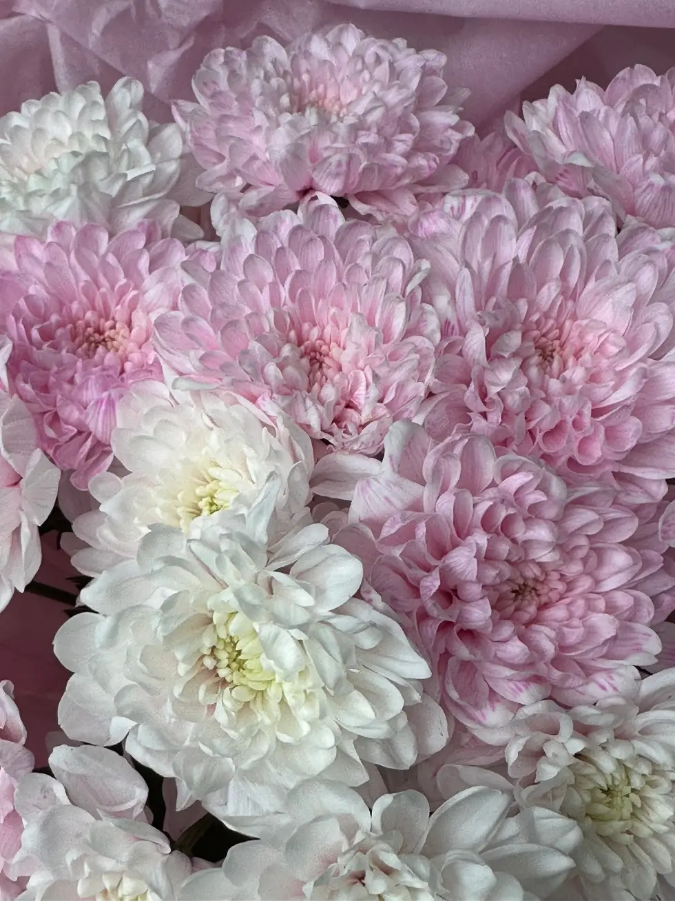 Букет Облако любви