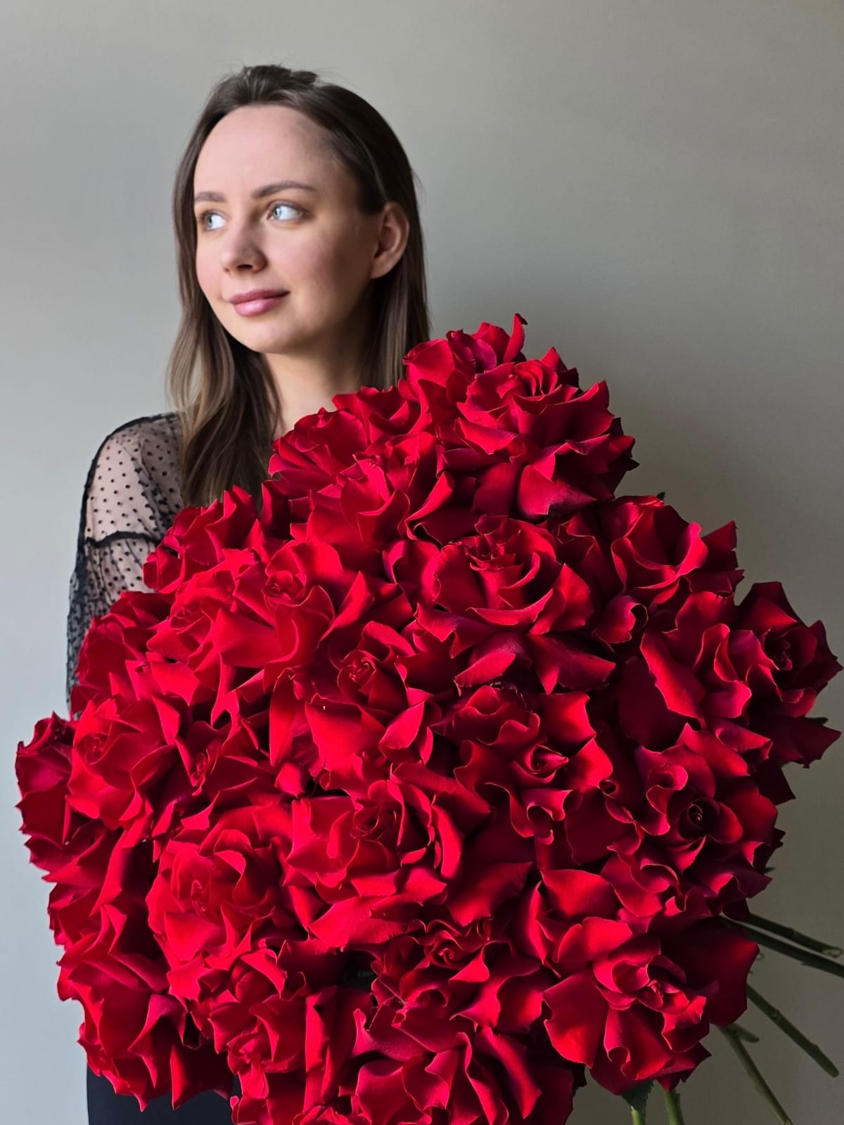 Роза Французская 