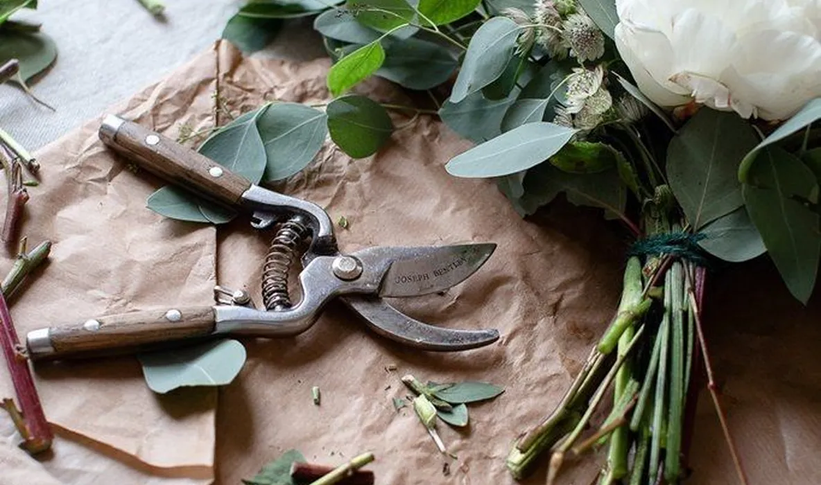 Как выбирать цветы