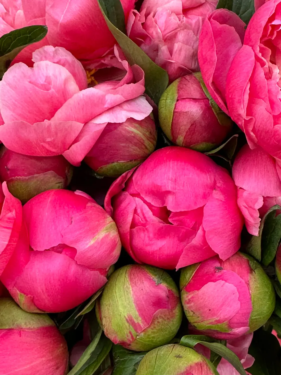 Букет 101 Признание