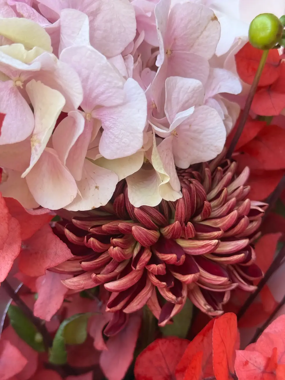 Букет Тёплые объятия